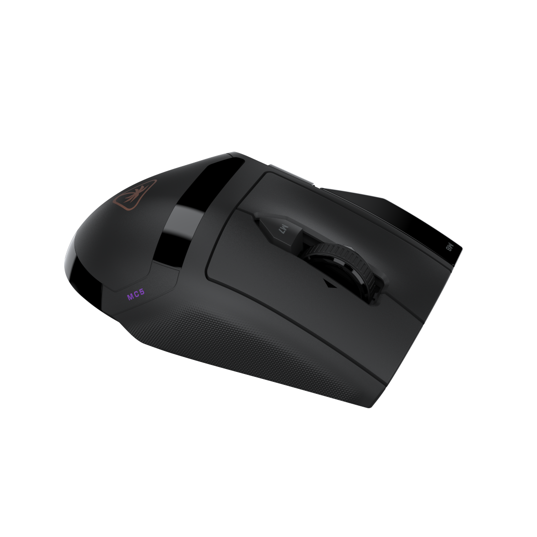 Image d'un jeu FPS